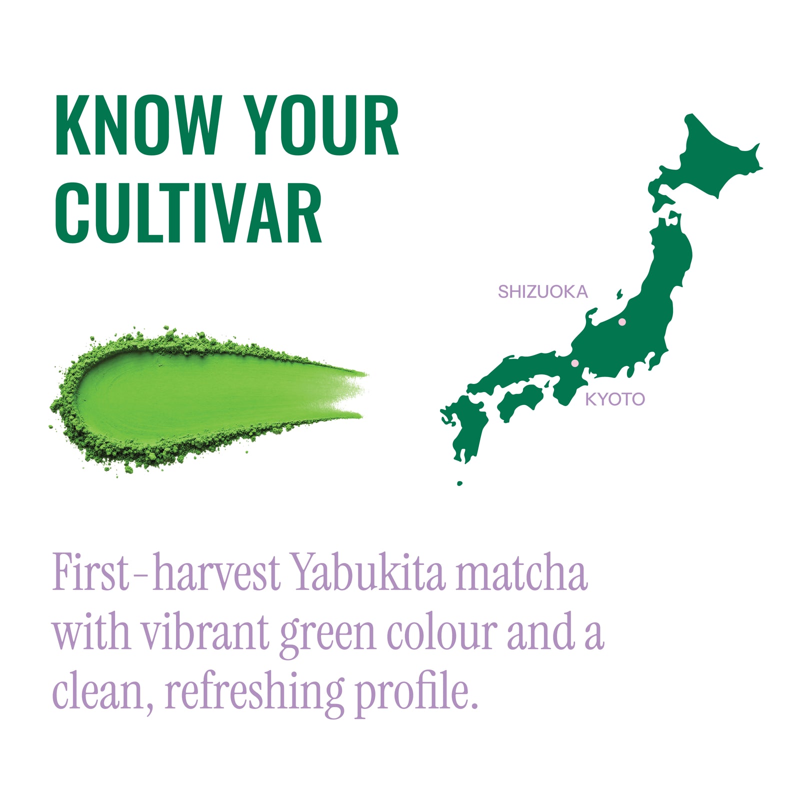 Yamayabu
